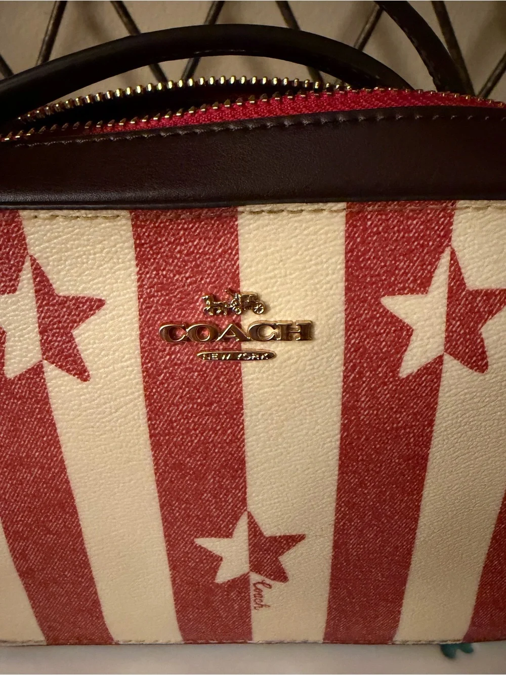 Coach mini camera